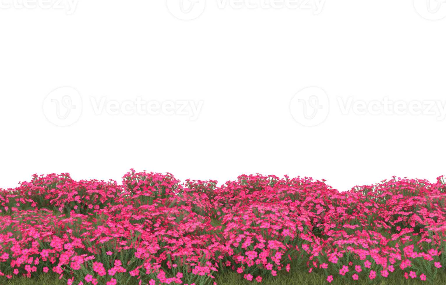 Realistic foliage isolated on transparent background. 3d rendering - illustration png