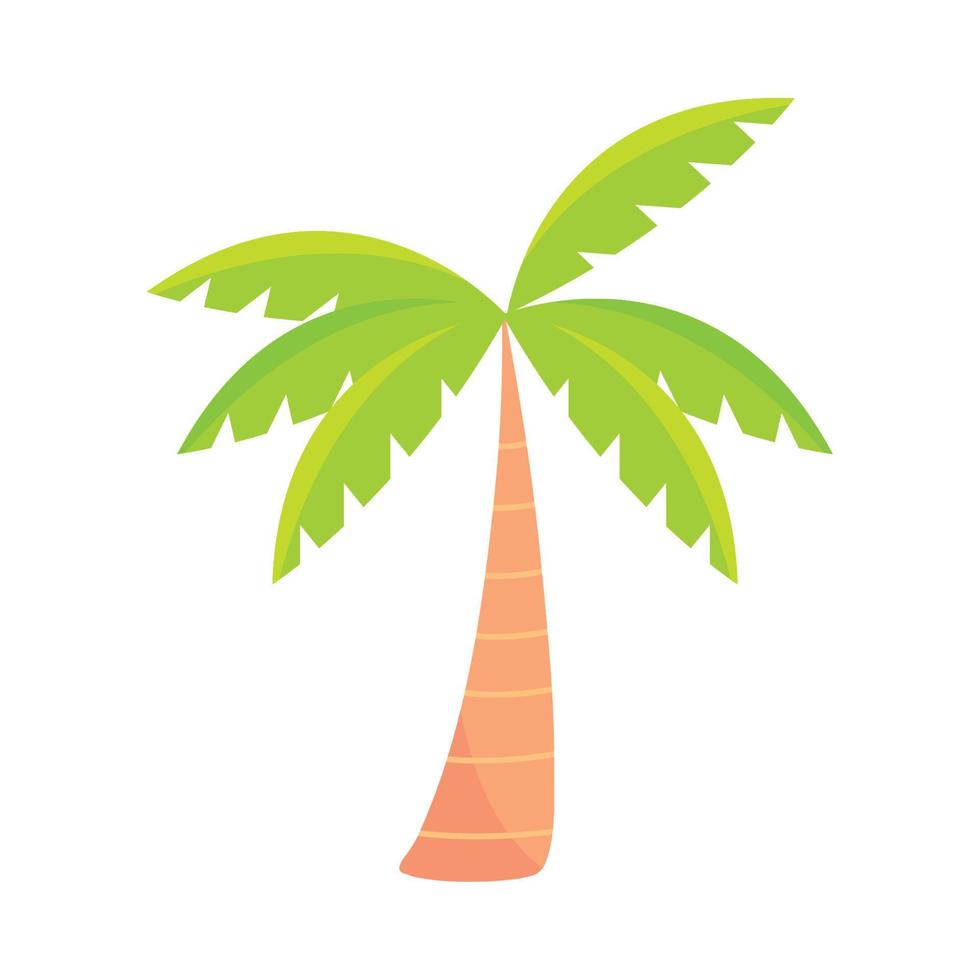 tropical palm tree icon vector