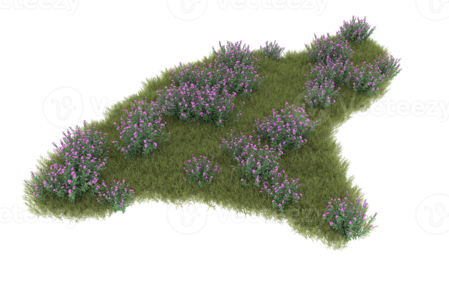 Realistic foliage isolated on transparent background. 3d rendering - illustration png