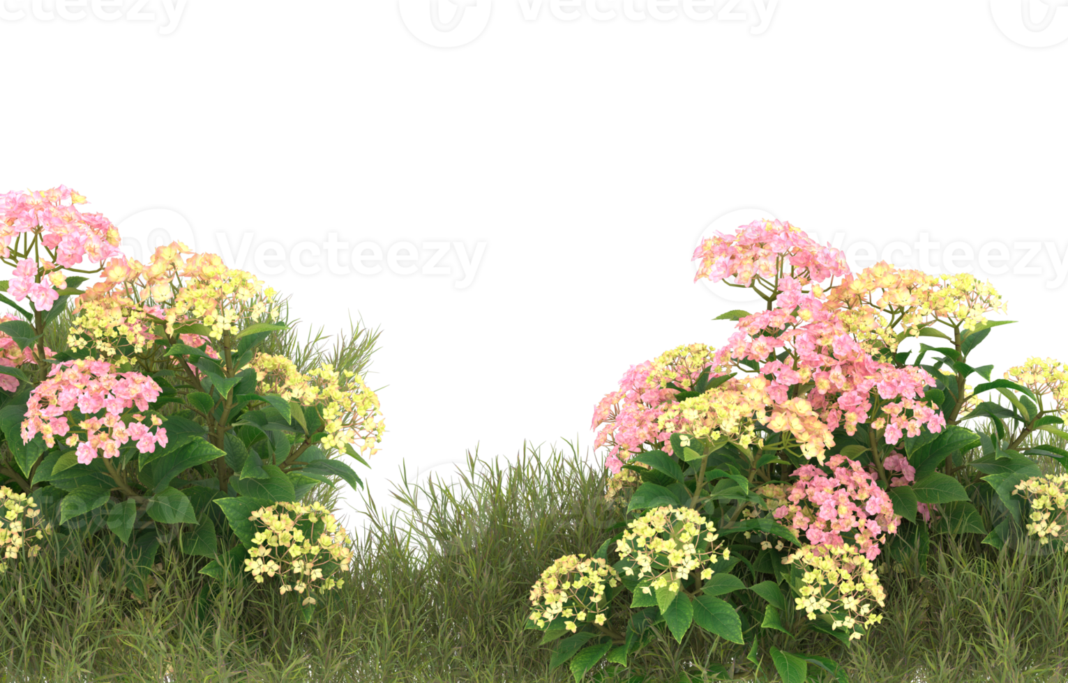 Realistic foliage isolated on transparent background. 3d rendering - illustration png