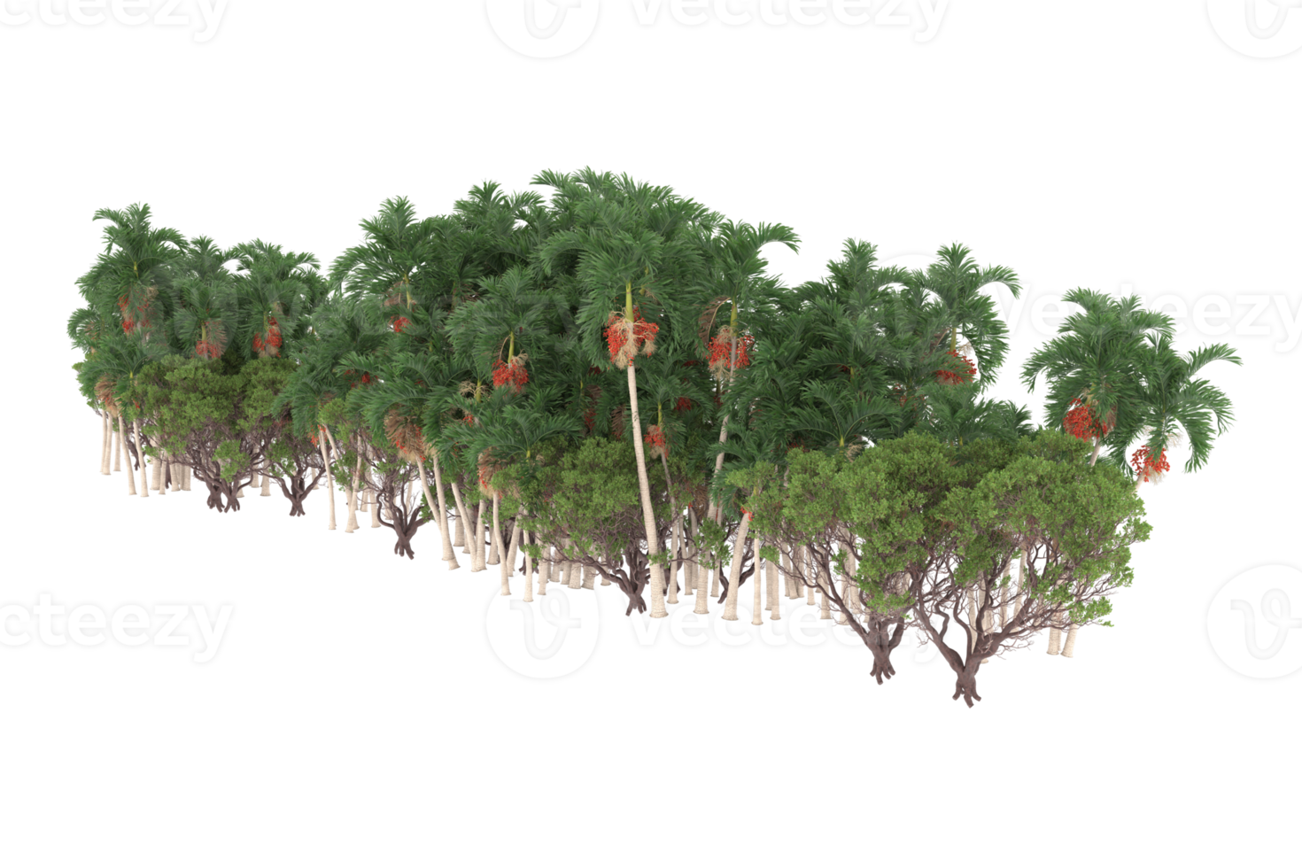 Palm trees isolated on transparent background. 3d rendering - illustration png
