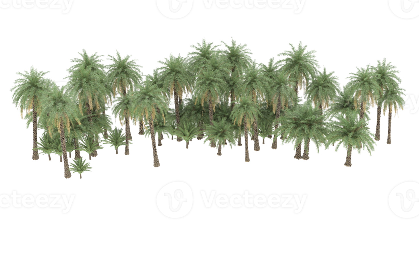 Palm trees isolated on transparent background. 3d rendering - illustration png