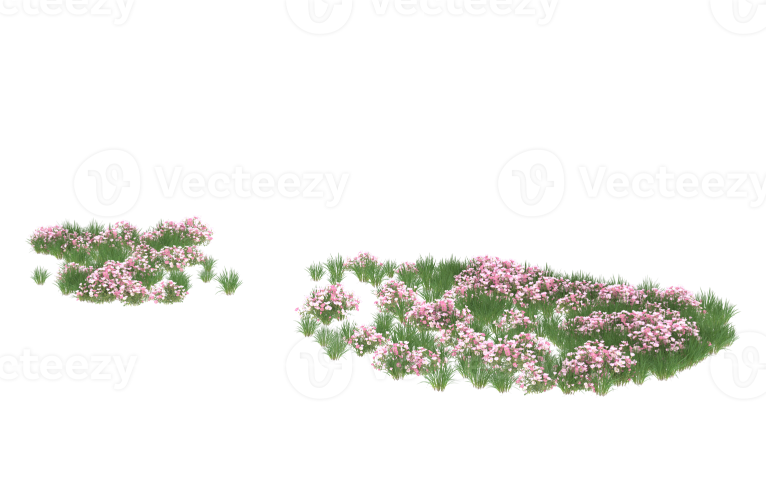 Realistic foliage isolated on transparent background. 3d rendering - illustration png