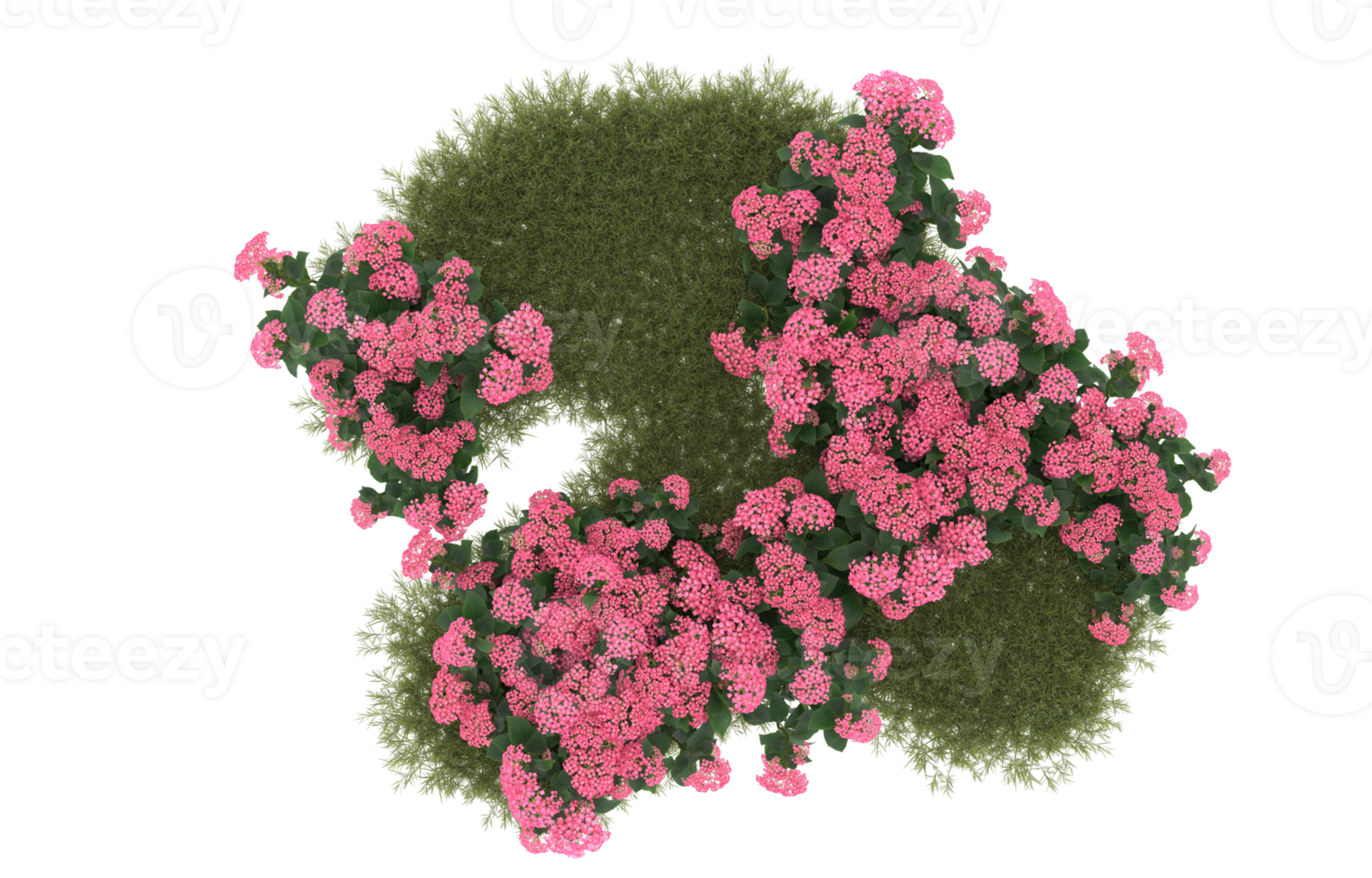 Realistic foliage isolated on transparent background. 3d rendering - illustration png
