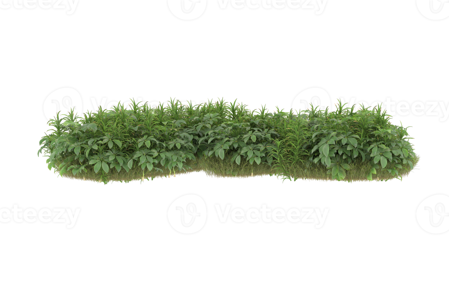 Realistic foliage isolated on transparent background. 3d rendering - illustration png