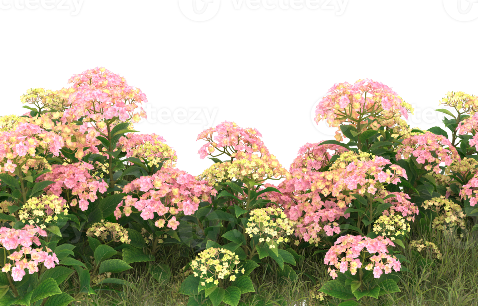 Realistic foliage isolated on transparent background. 3d rendering - illustration png