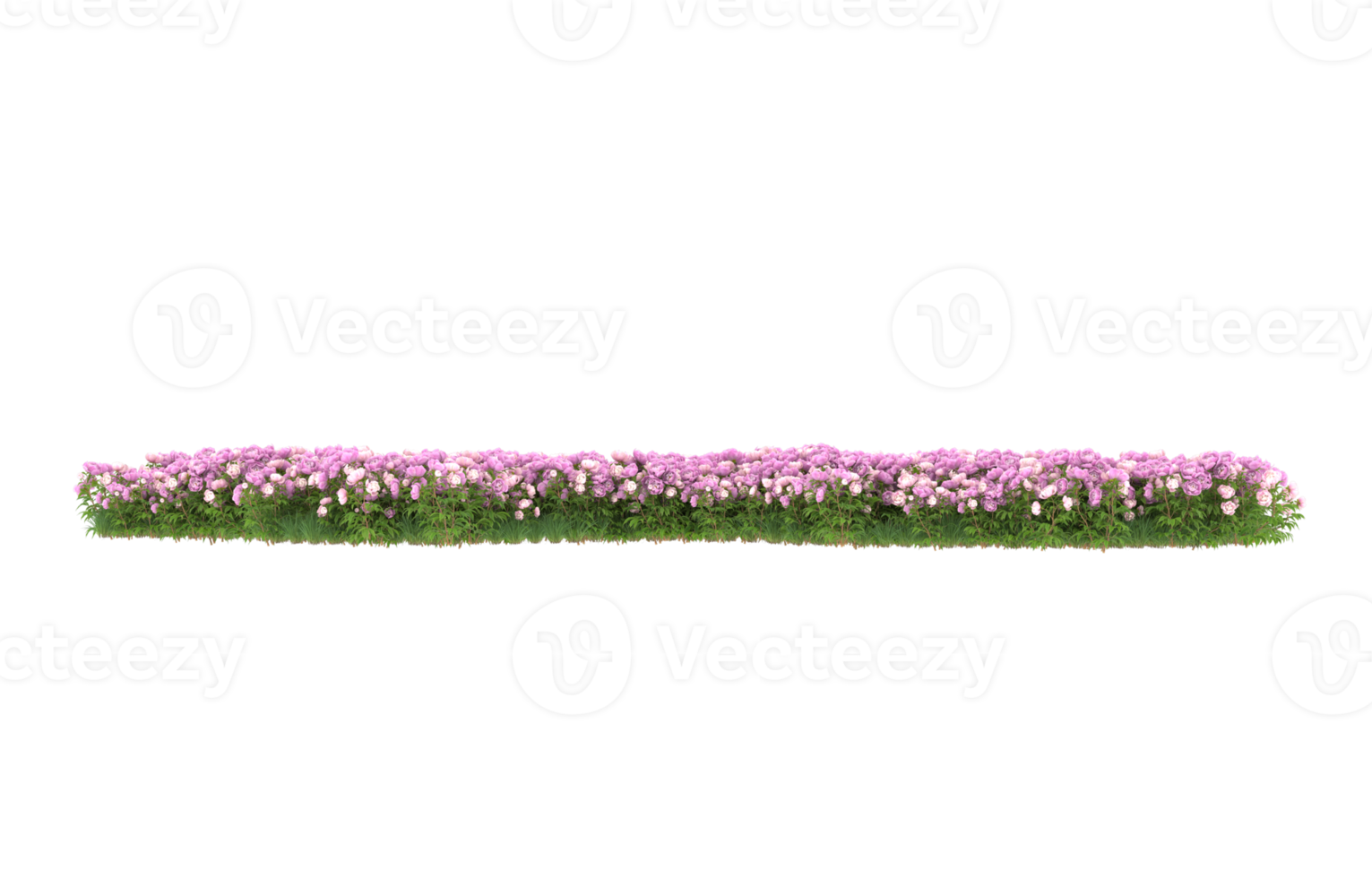Realistic foliage isolated on transparent background. 3d rendering - illustration png