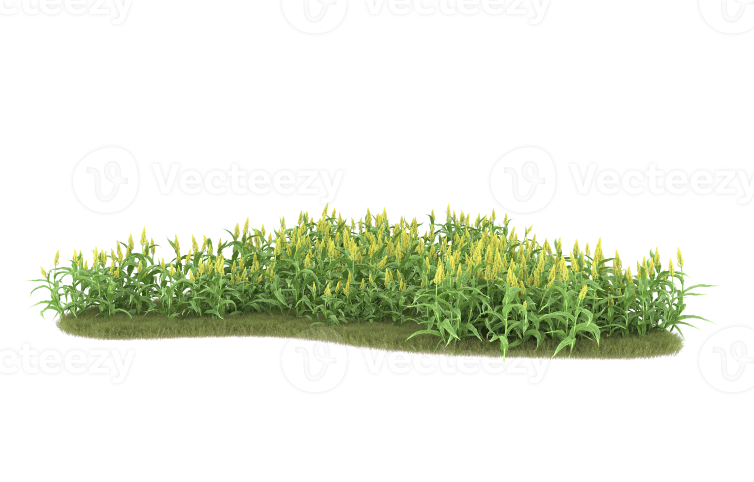 Realistic foliage isolated on transparent background. 3d rendering - illustration png