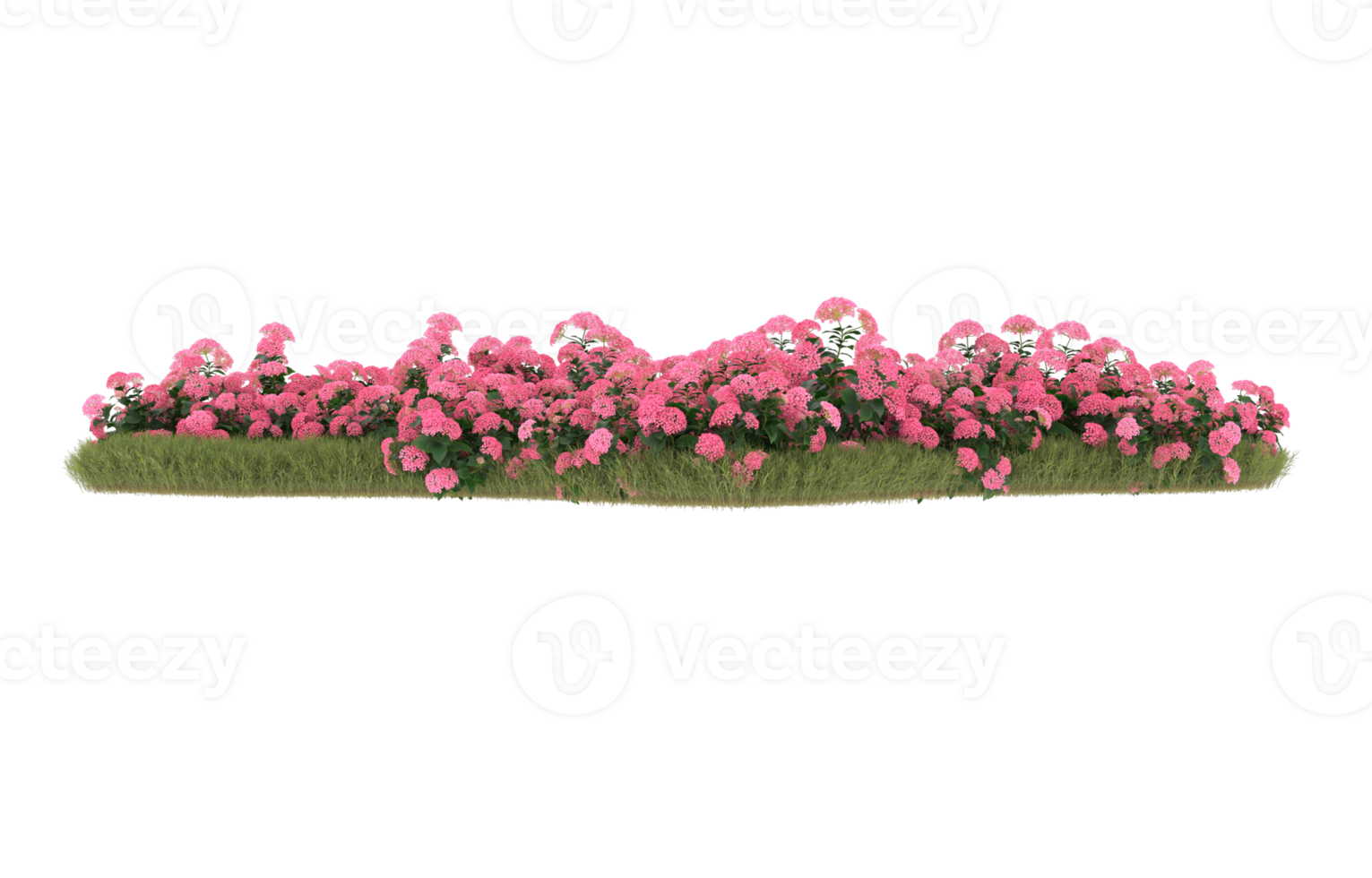 Realistic foliage isolated on transparent background. 3d rendering - illustration png