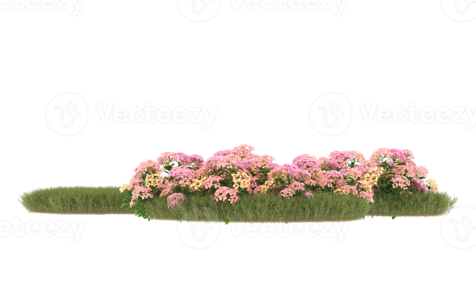 Realistic foliage isolated on transparent background. 3d rendering - illustration png