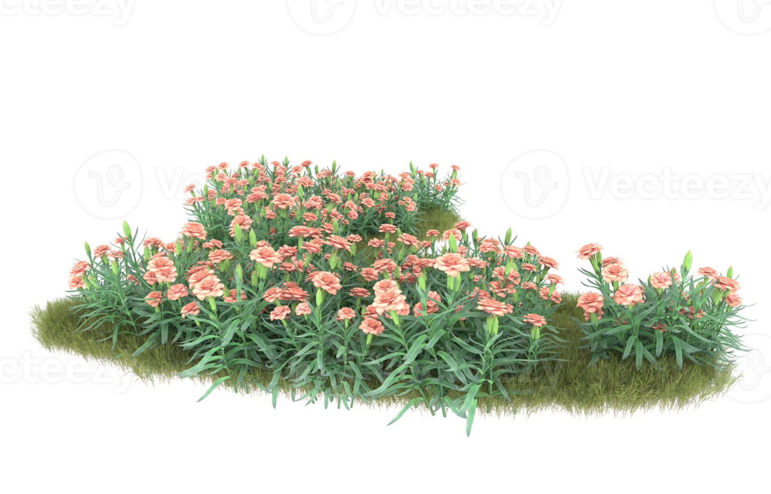 Realistic foliage isolated on transparent background. 3d rendering - illustration png