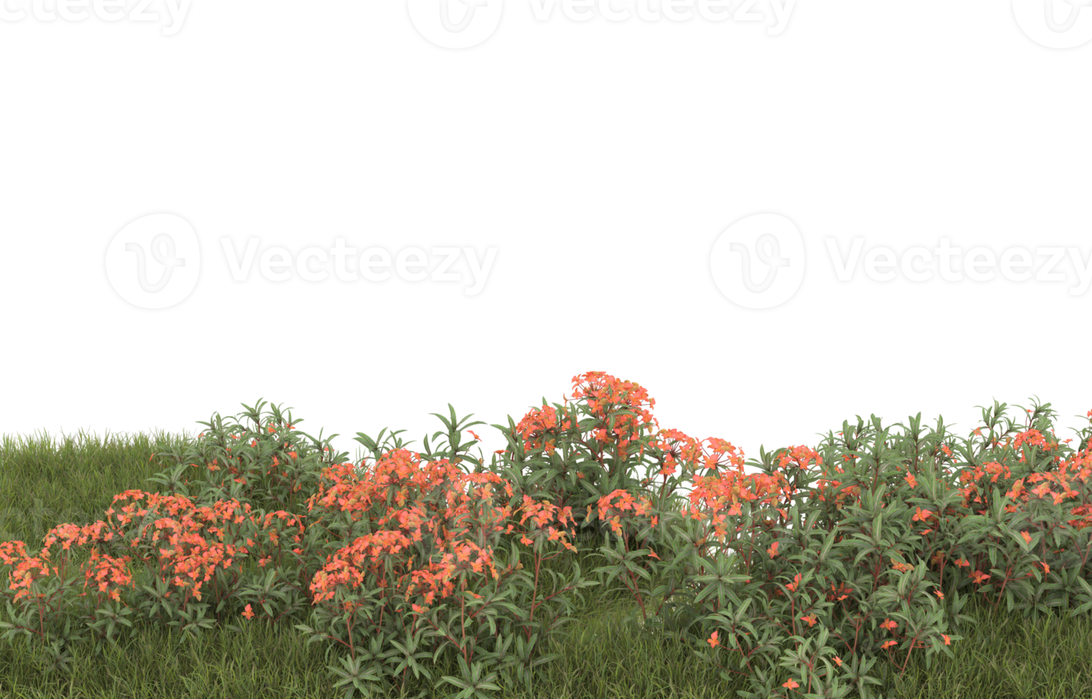 Realistic foliage isolated on transparent background. 3d rendering - illustration png