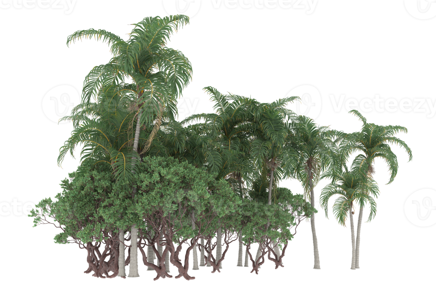 Palm trees isolated on transparent background. 3d rendering - illustration png