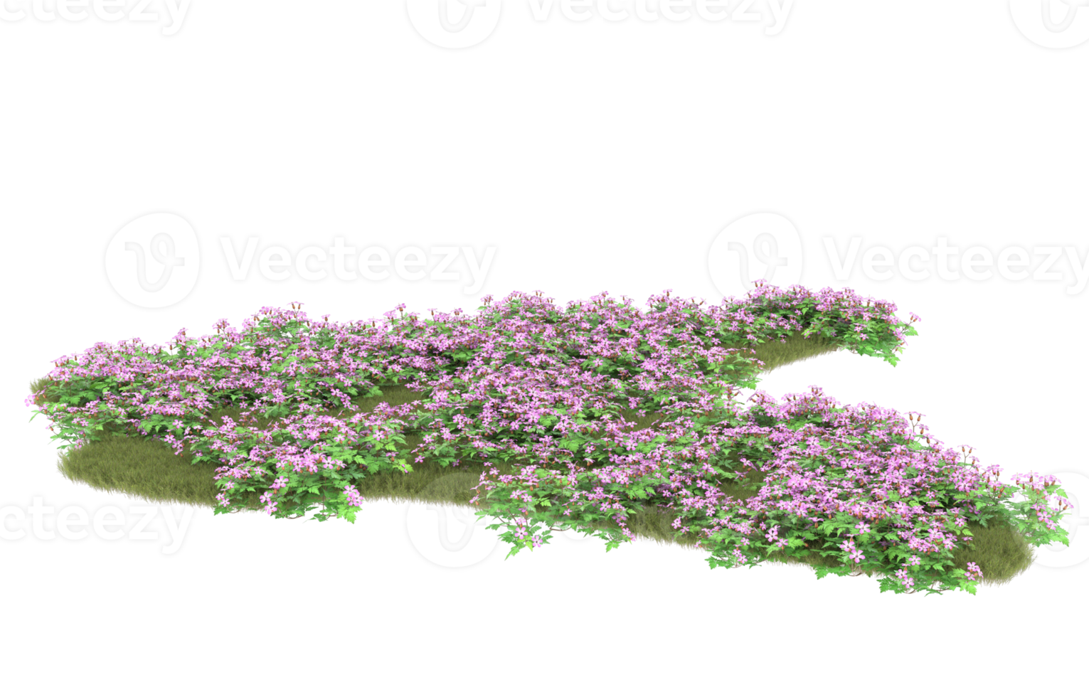Realistic foliage isolated on transparent background. 3d rendering - illustration png