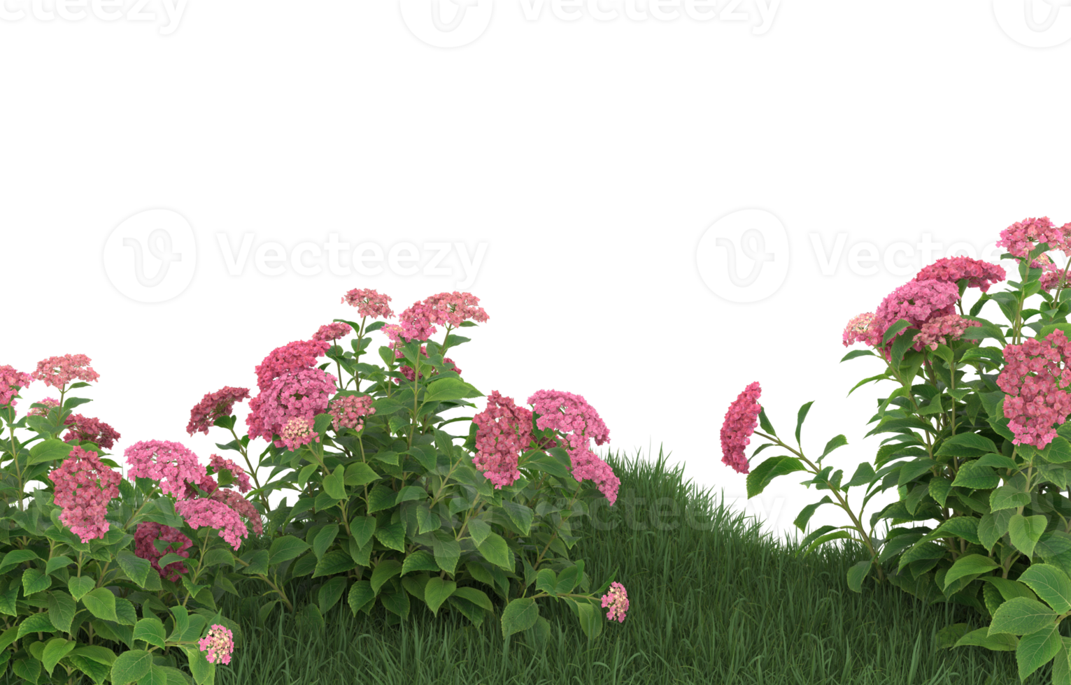Realistic foliage isolated on transparent background. 3d rendering - illustration png