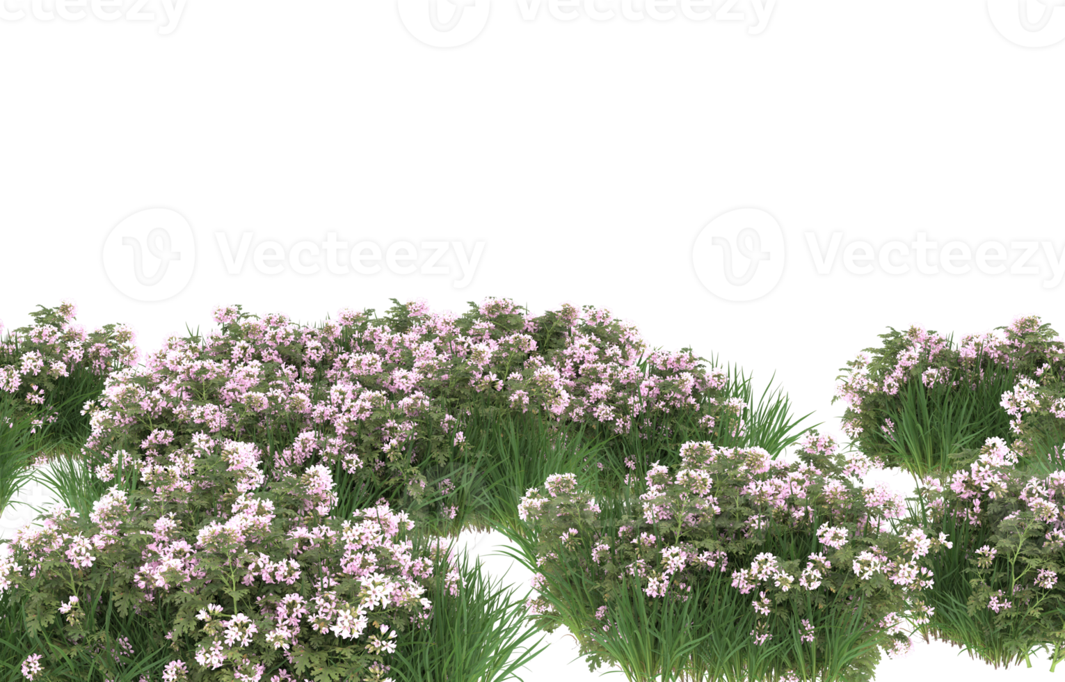 Realistic foliage isolated on transparent background. 3d rendering - illustration png