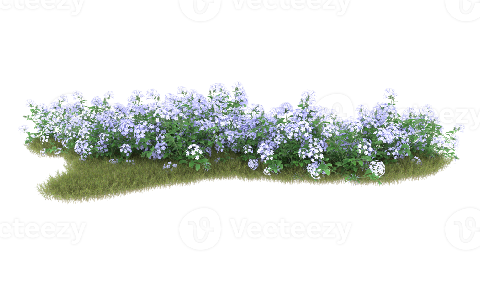 Realistic foliage isolated on transparent background. 3d rendering - illustration png