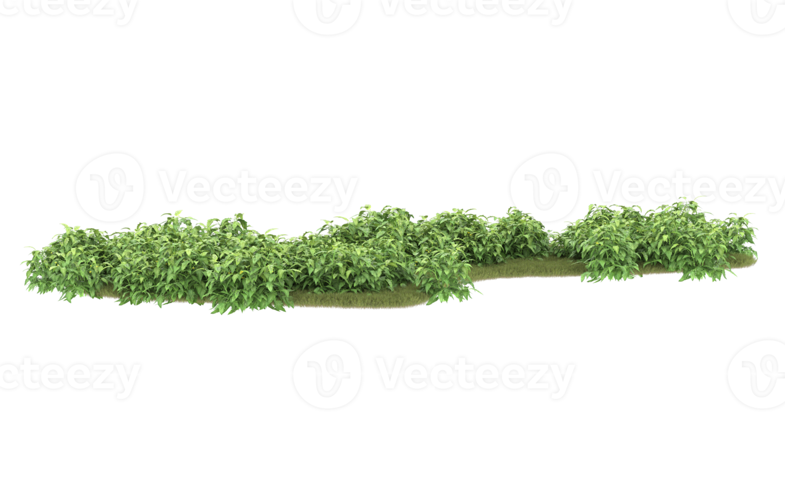 Realistic foliage isolated on transparent background. 3d rendering - illustration png
