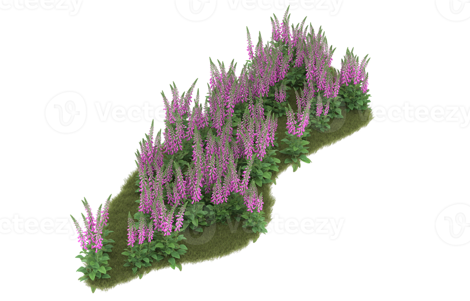 Realistic foliage isolated on transparent background. 3d rendering - illustration png