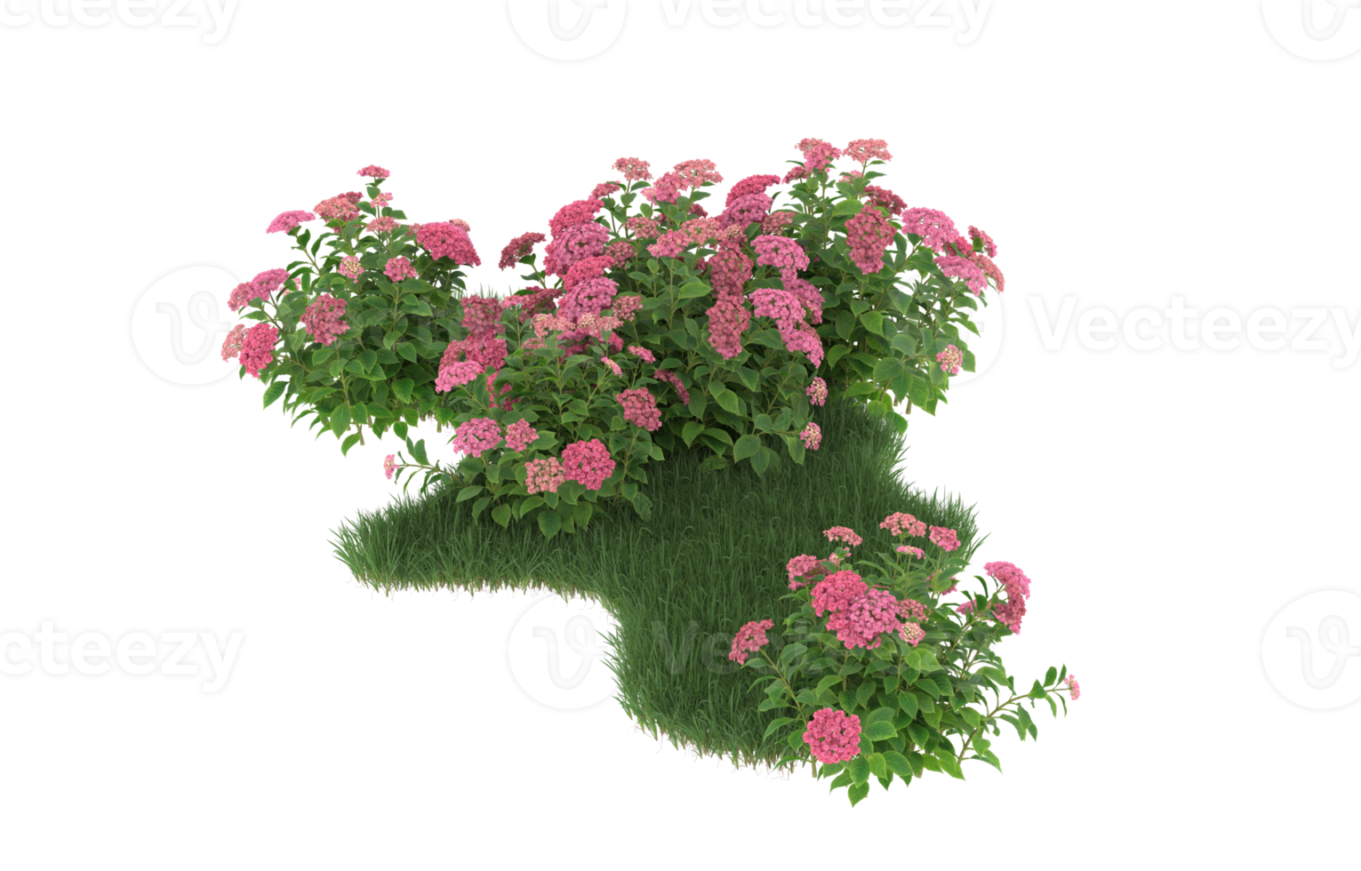 Realistic foliage isolated on transparent background. 3d rendering - illustration png