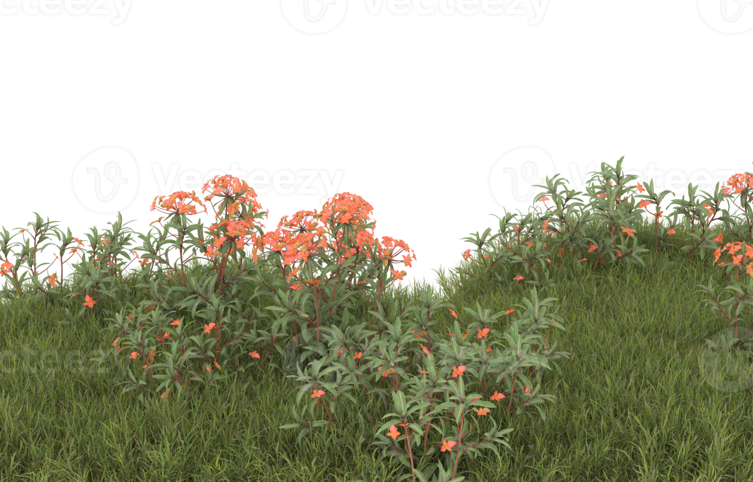 Realistic foliage isolated on transparent background. 3d rendering - illustration png