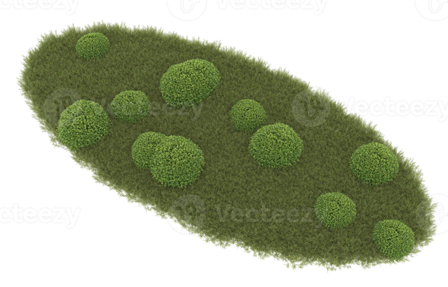 Realistic foliage isolated on transparent background. 3d rendering - illustration png
