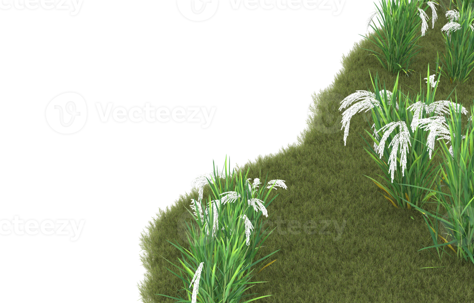 Realistic foliage isolated on transparent background. 3d rendering - illustration png