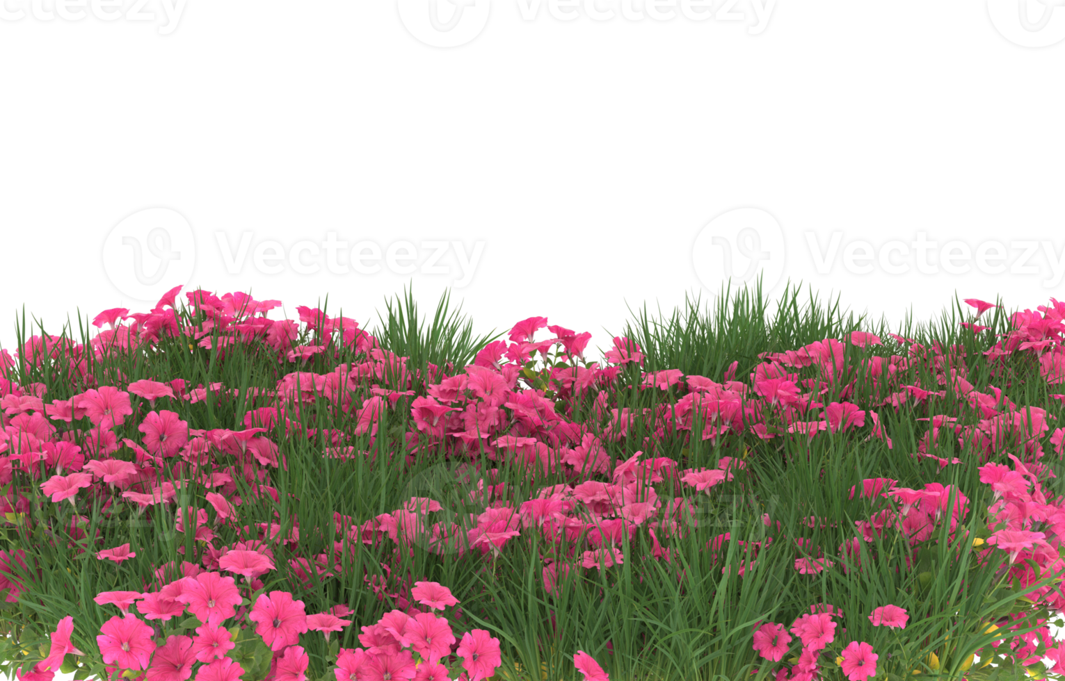 Realistic foliage isolated on transparent background. 3d rendering - illustration png