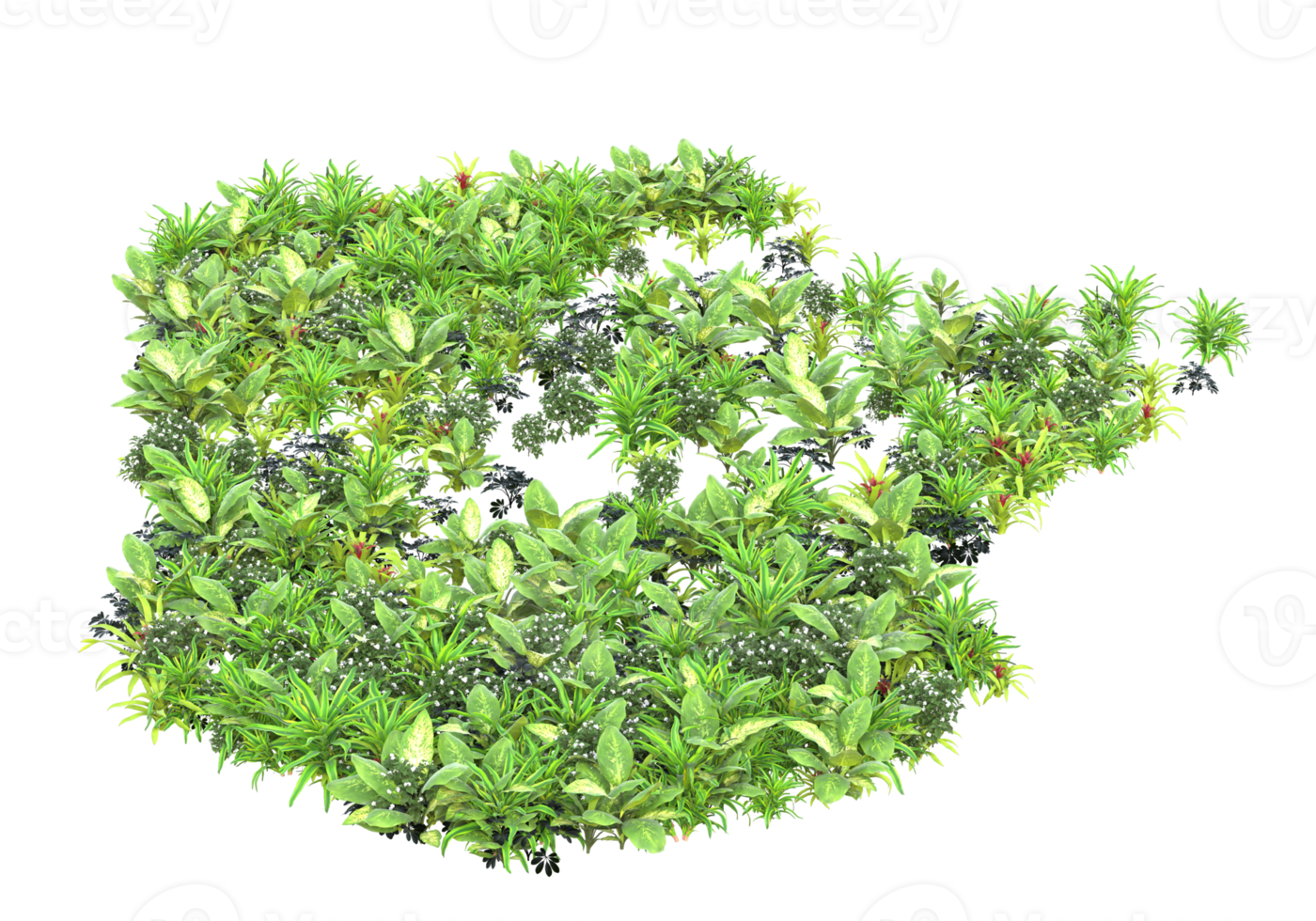 Realistic foliage isolated on transparent background. 3d rendering - illustration png