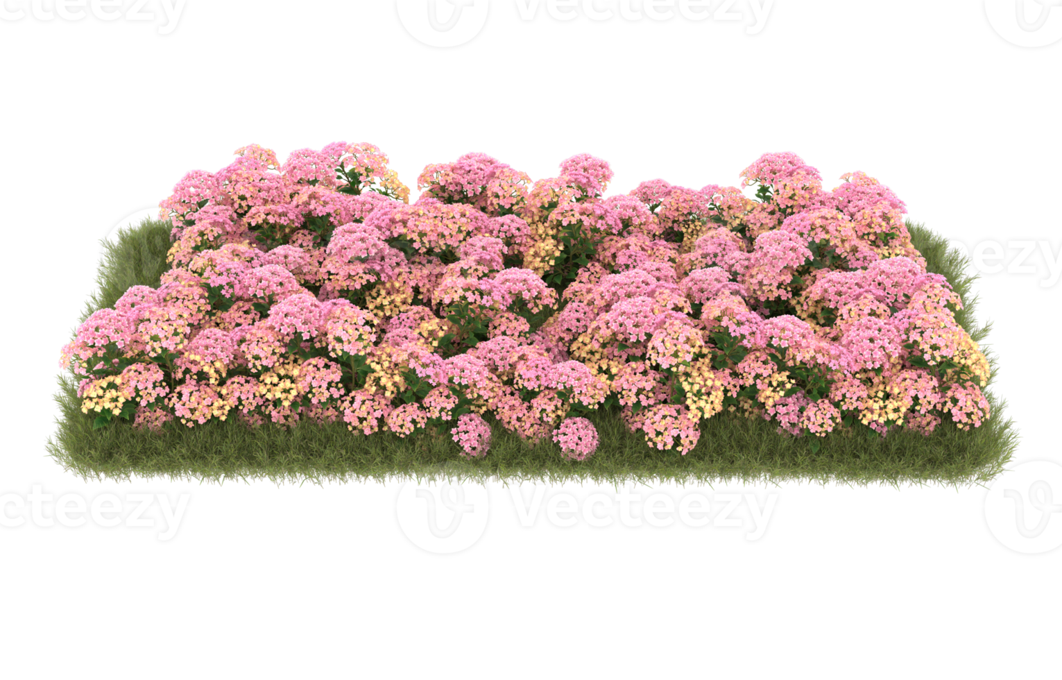Realistic foliage isolated on transparent background. 3d rendering - illustration png