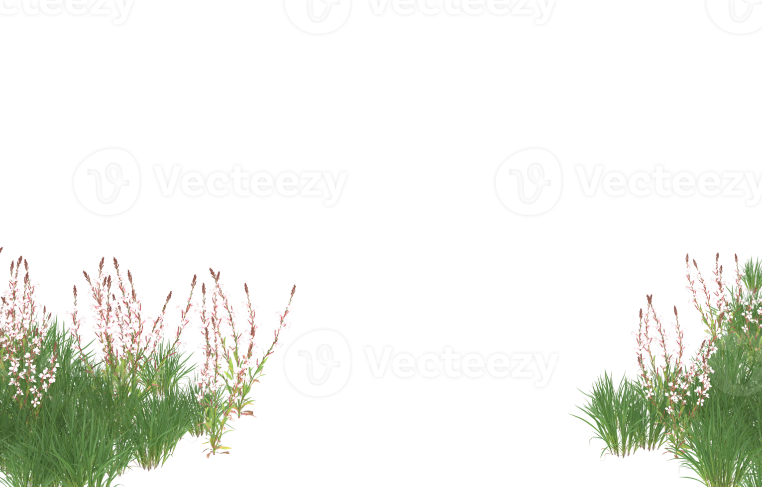 realistisk lövverk isolerat på transparent bakgrund. 3d tolkning - illustration png