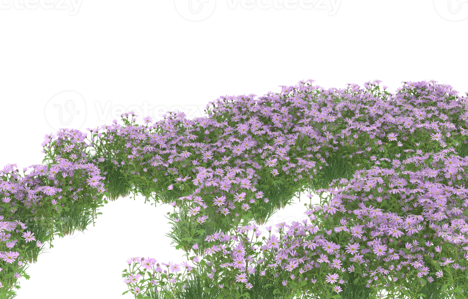 Realistic foliage isolated on transparent background. 3d rendering - illustration png