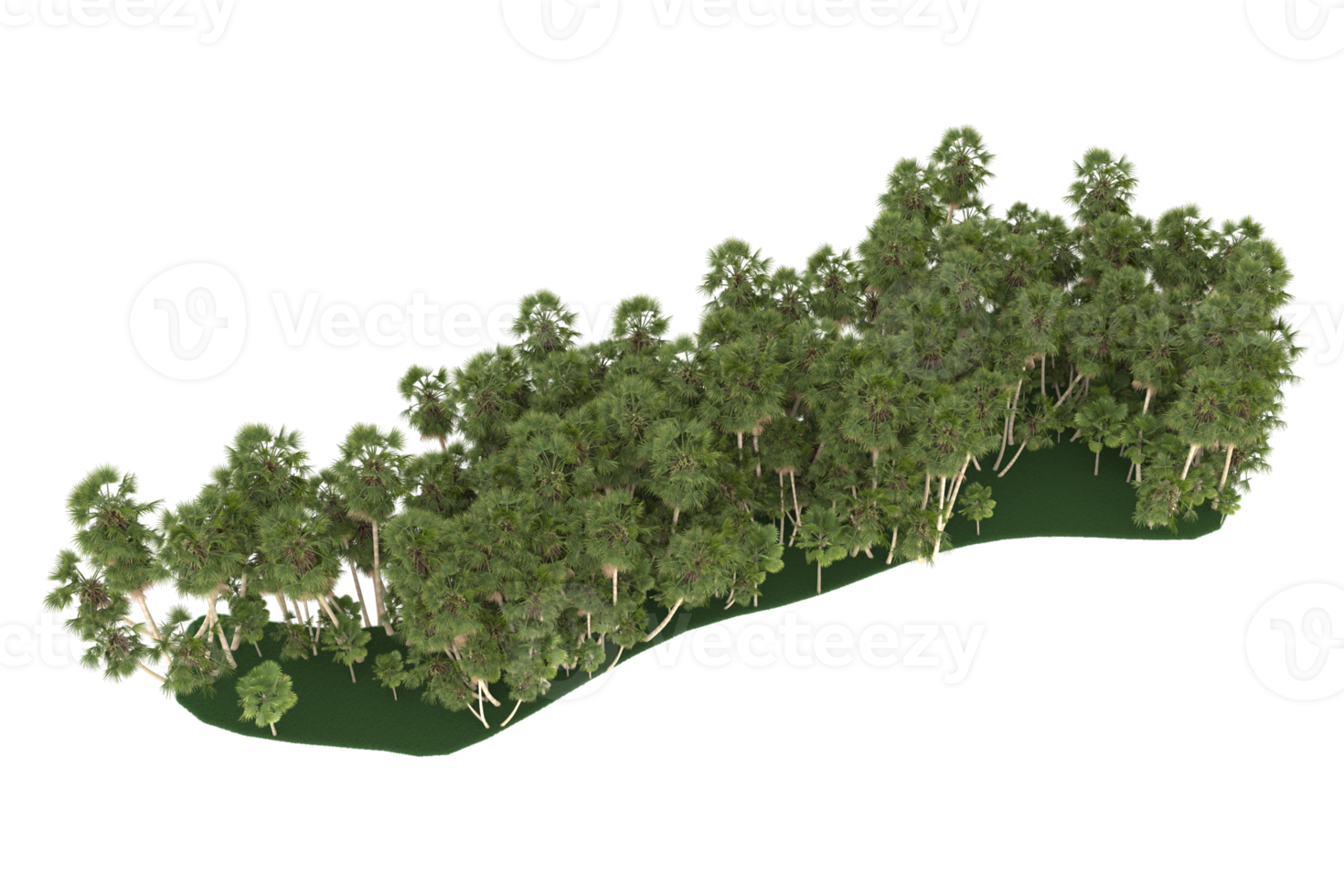 Palm trees isolated on transparent background. 3d rendering - illustration png