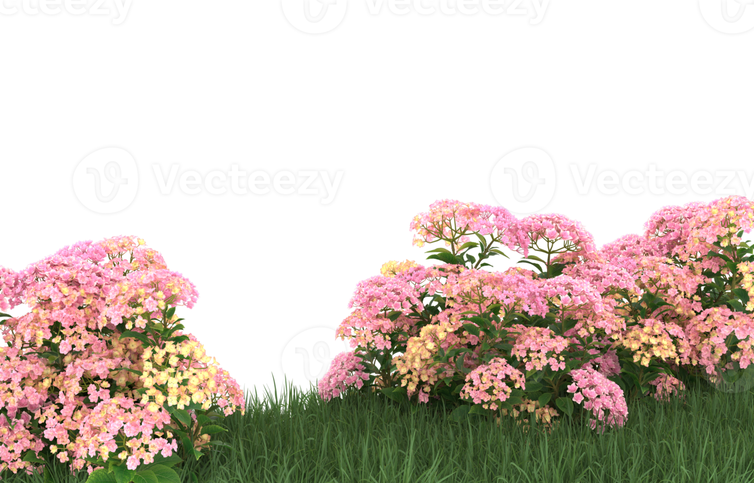 Realistic foliage isolated on transparent background. 3d rendering - illustration png