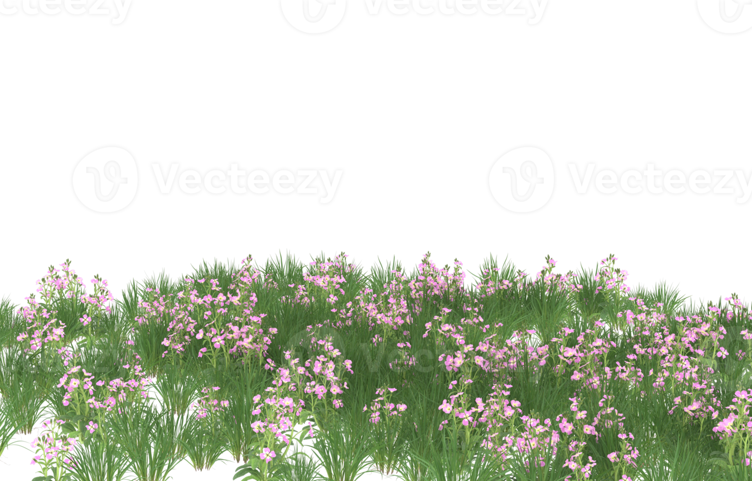 Realistic foliage isolated on transparent background. 3d rendering - illustration png