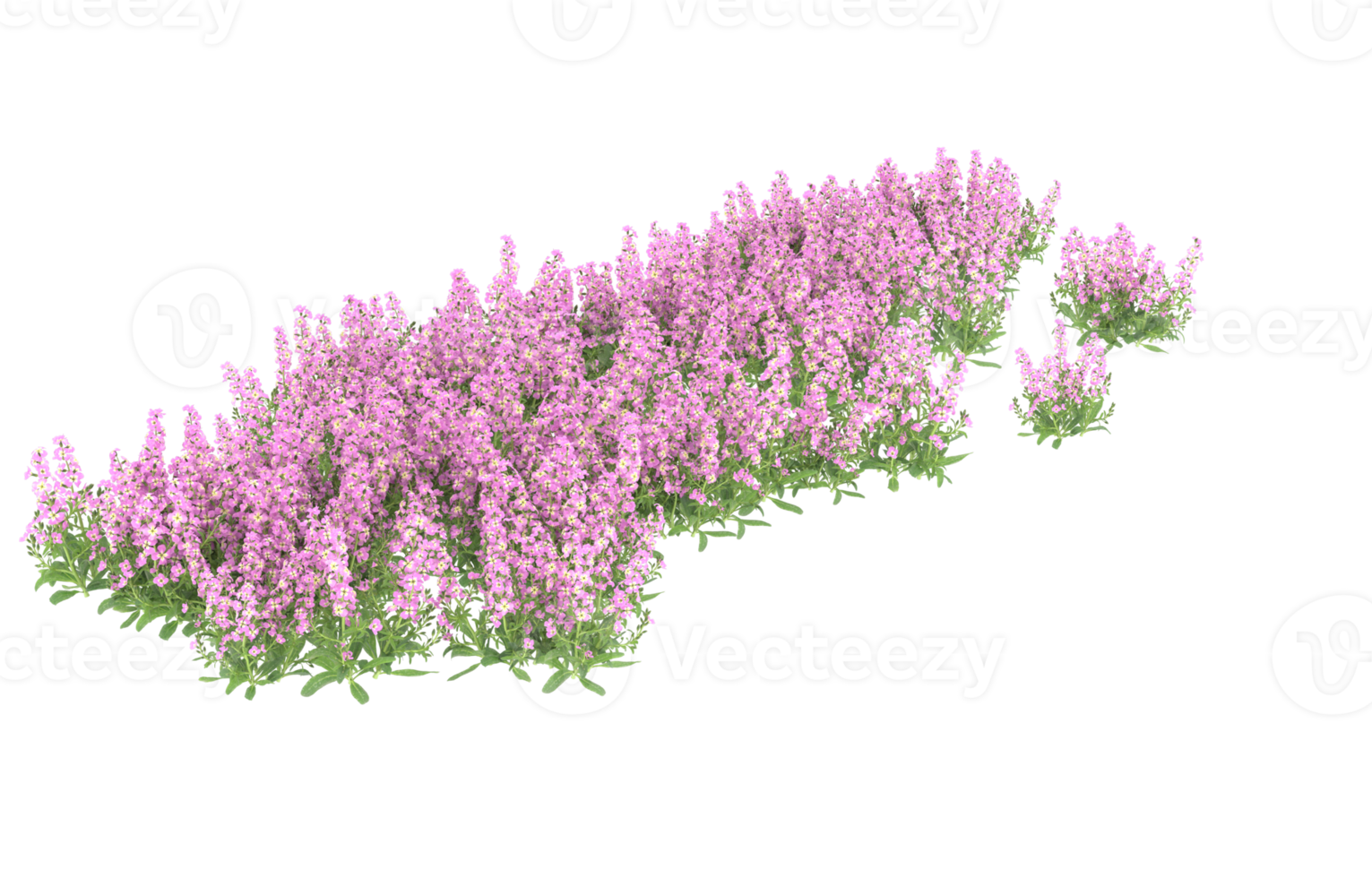 Realistic foliage isolated on transparent background. 3d rendering - illustration png