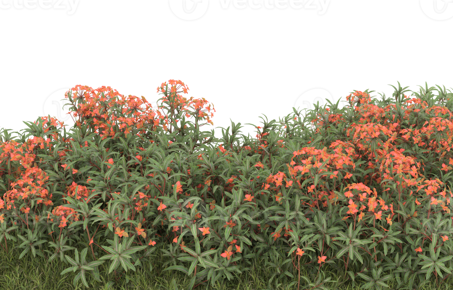 Realistic foliage isolated on transparent background. 3d rendering - illustration png