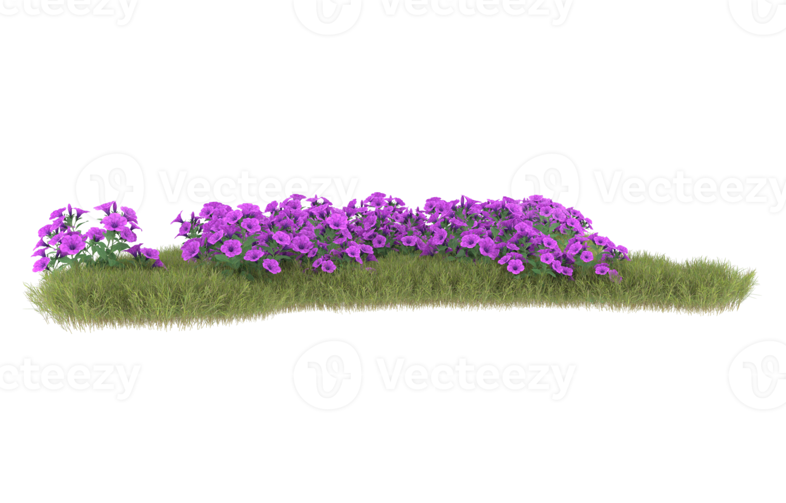 Realistic foliage isolated on transparent background. 3d rendering - illustration png