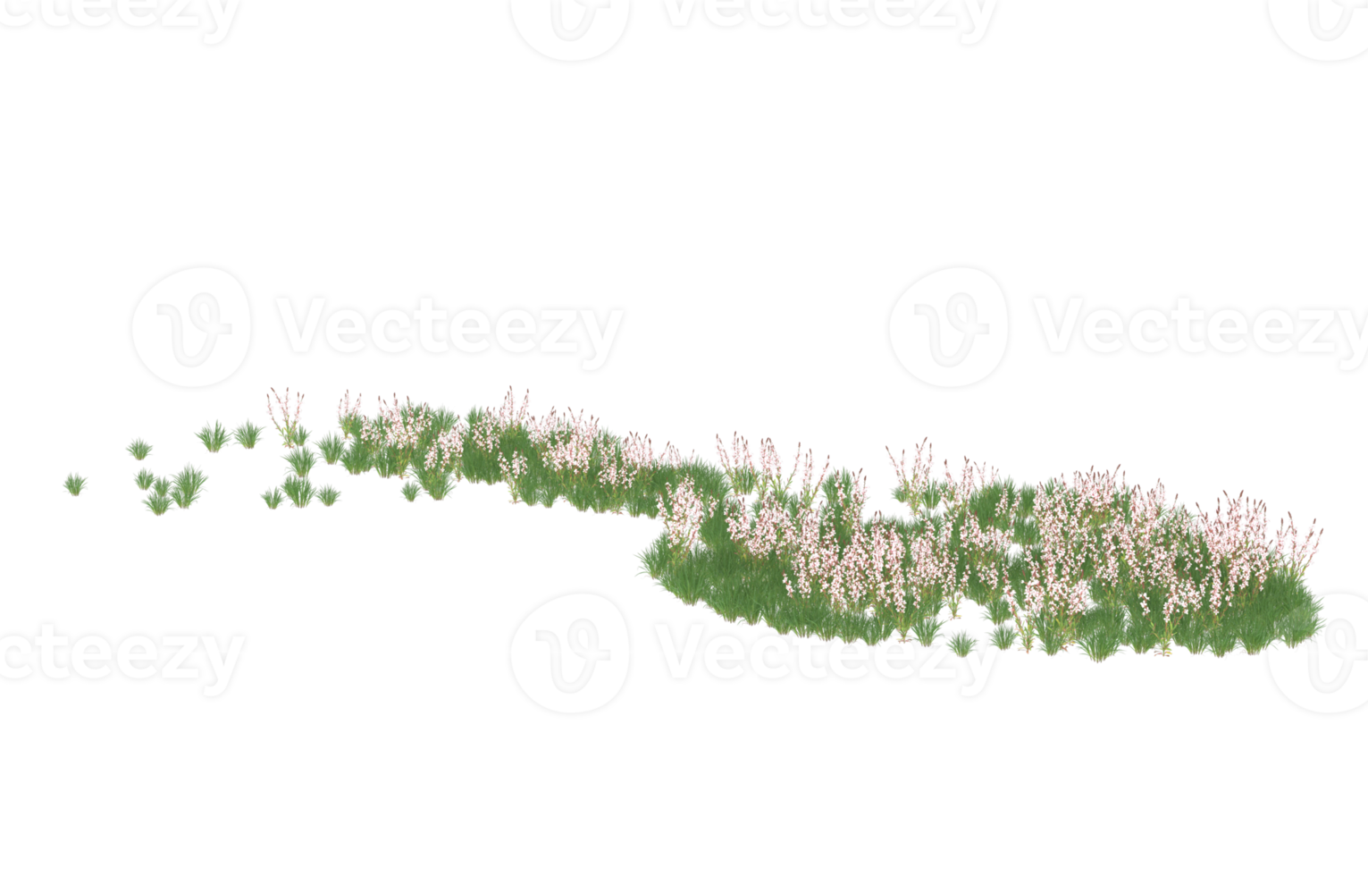 realistico fogliame isolato su trasparente sfondo. 3d interpretazione - illustrazione png