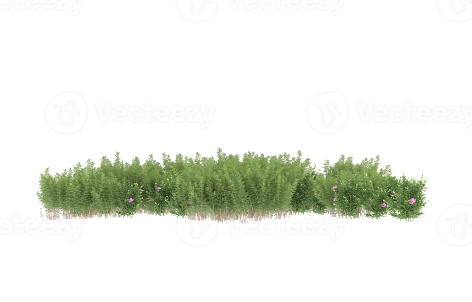 Realistic foliage isolated on transparent background. 3d rendering - illustration png