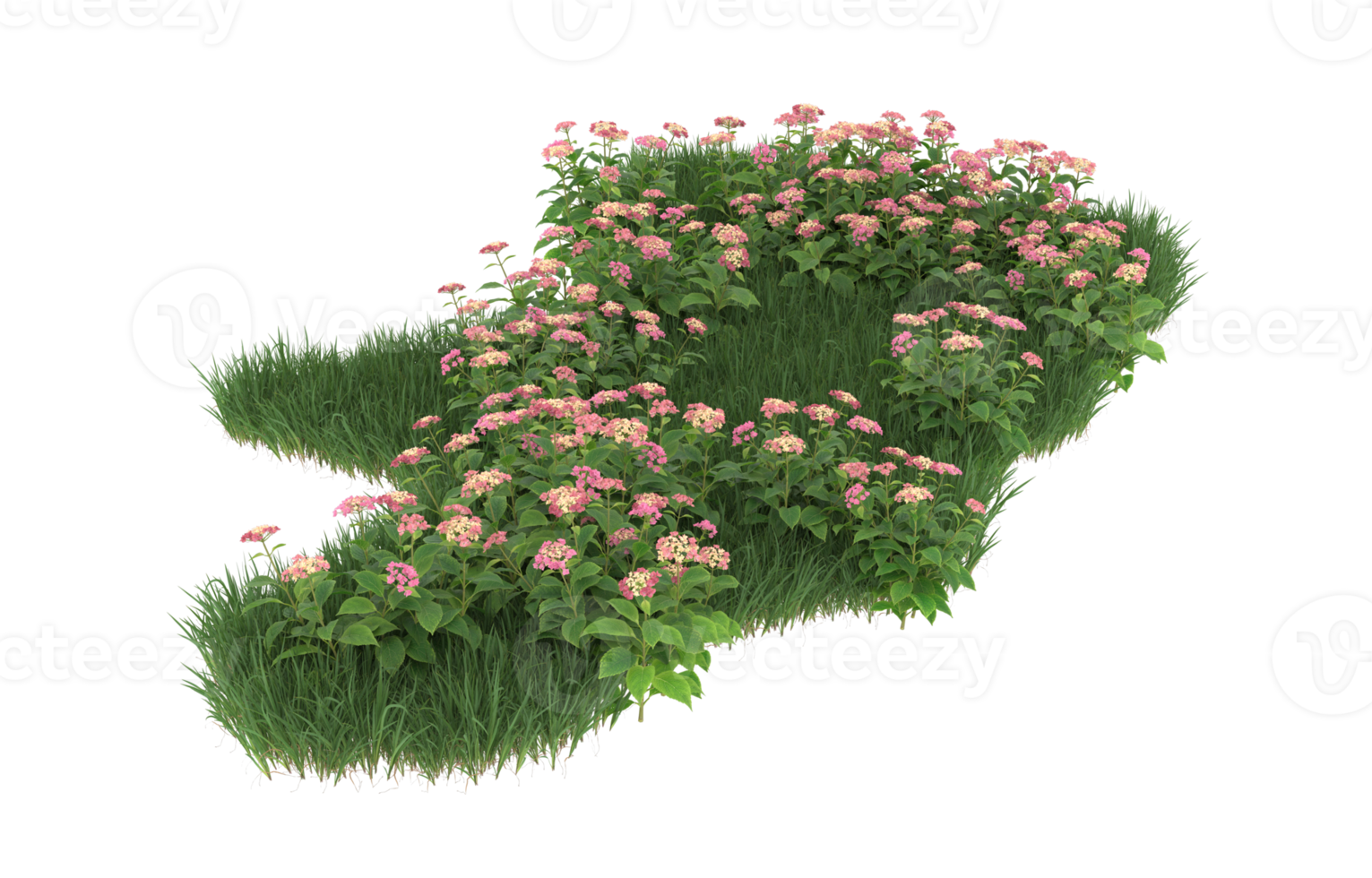Realistic foliage isolated on transparent background. 3d rendering - illustration png