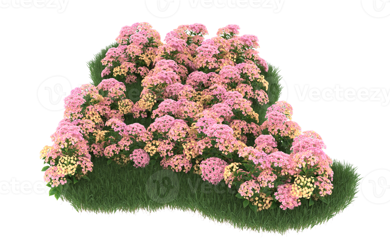 Realistic foliage isolated on transparent background. 3d rendering - illustration png