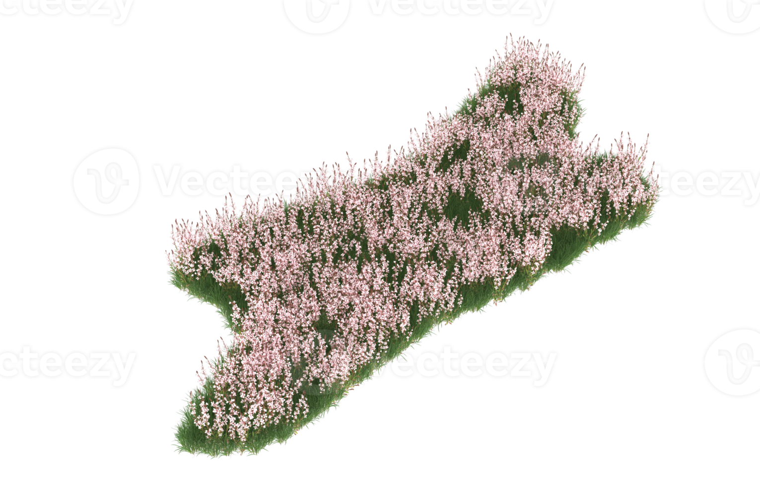 realistico fogliame isolato su trasparente sfondo. 3d interpretazione - illustrazione png