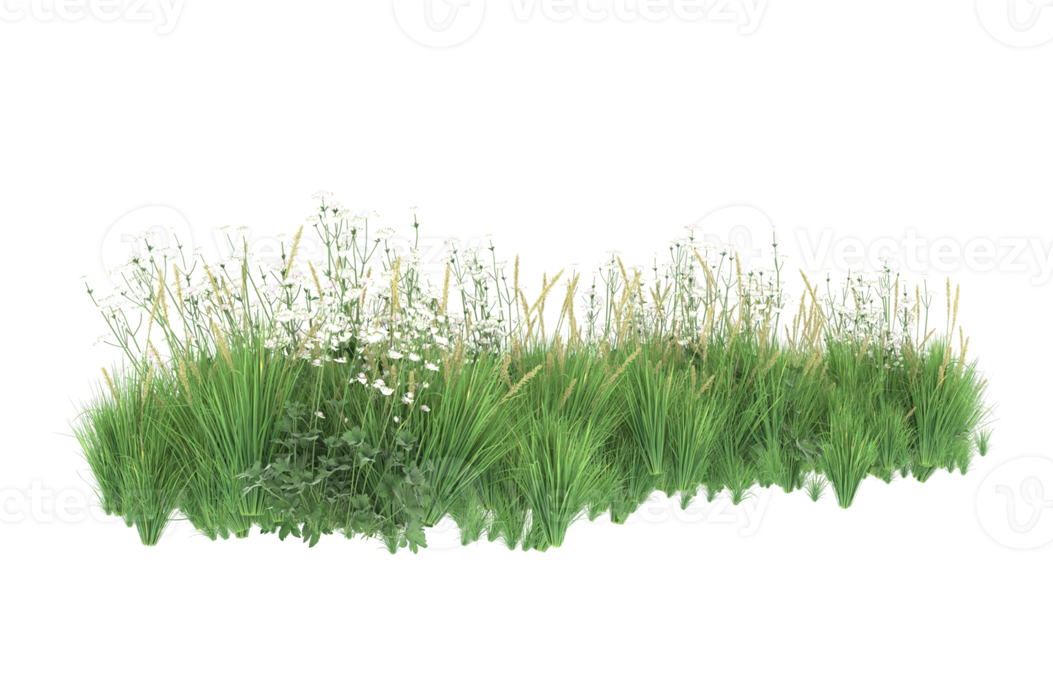 Realistic foliage isolated on transparent background. 3d rendering - illustration png