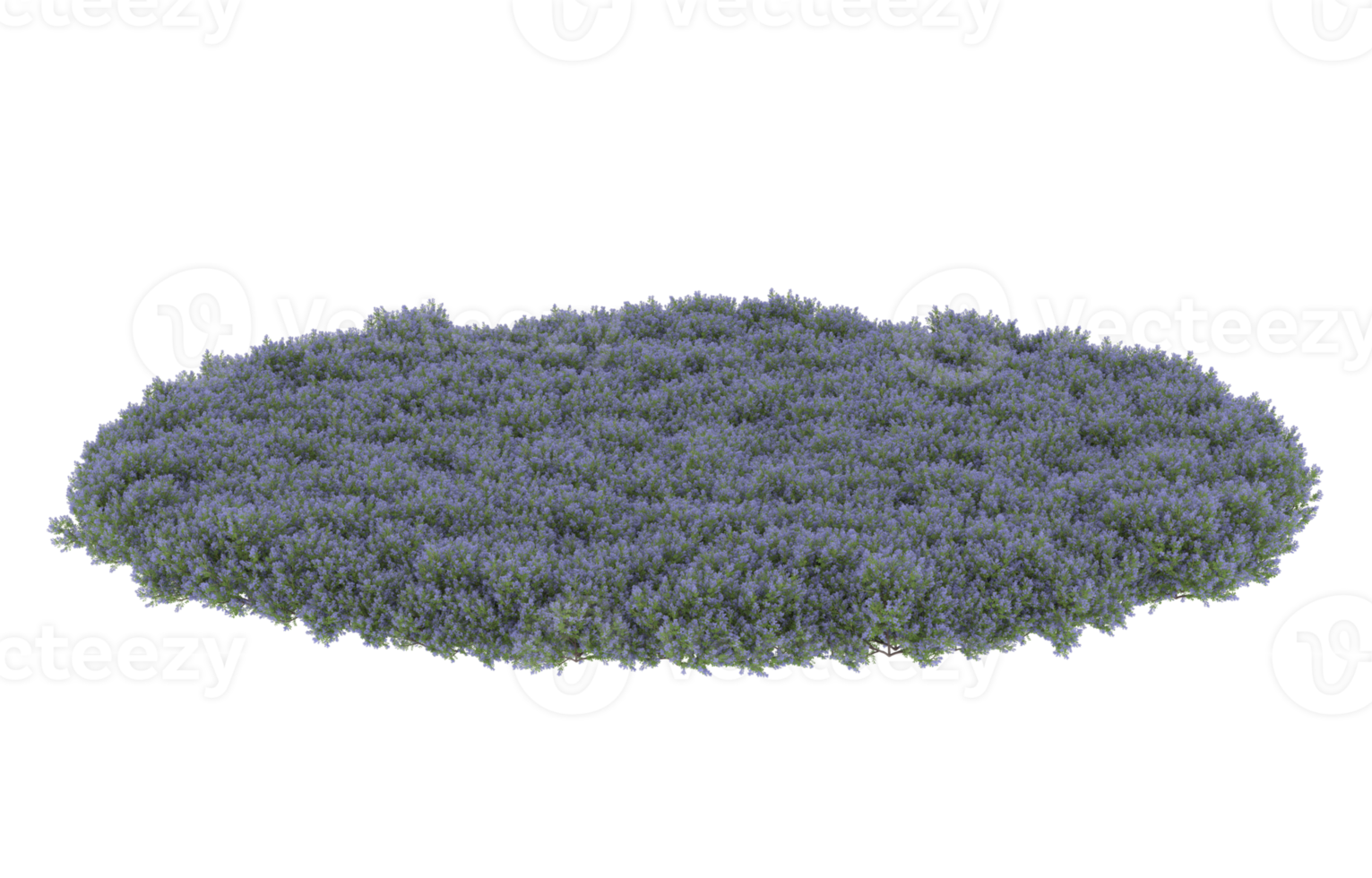 Realistic foliage isolated on transparent background. 3d rendering - illustration png