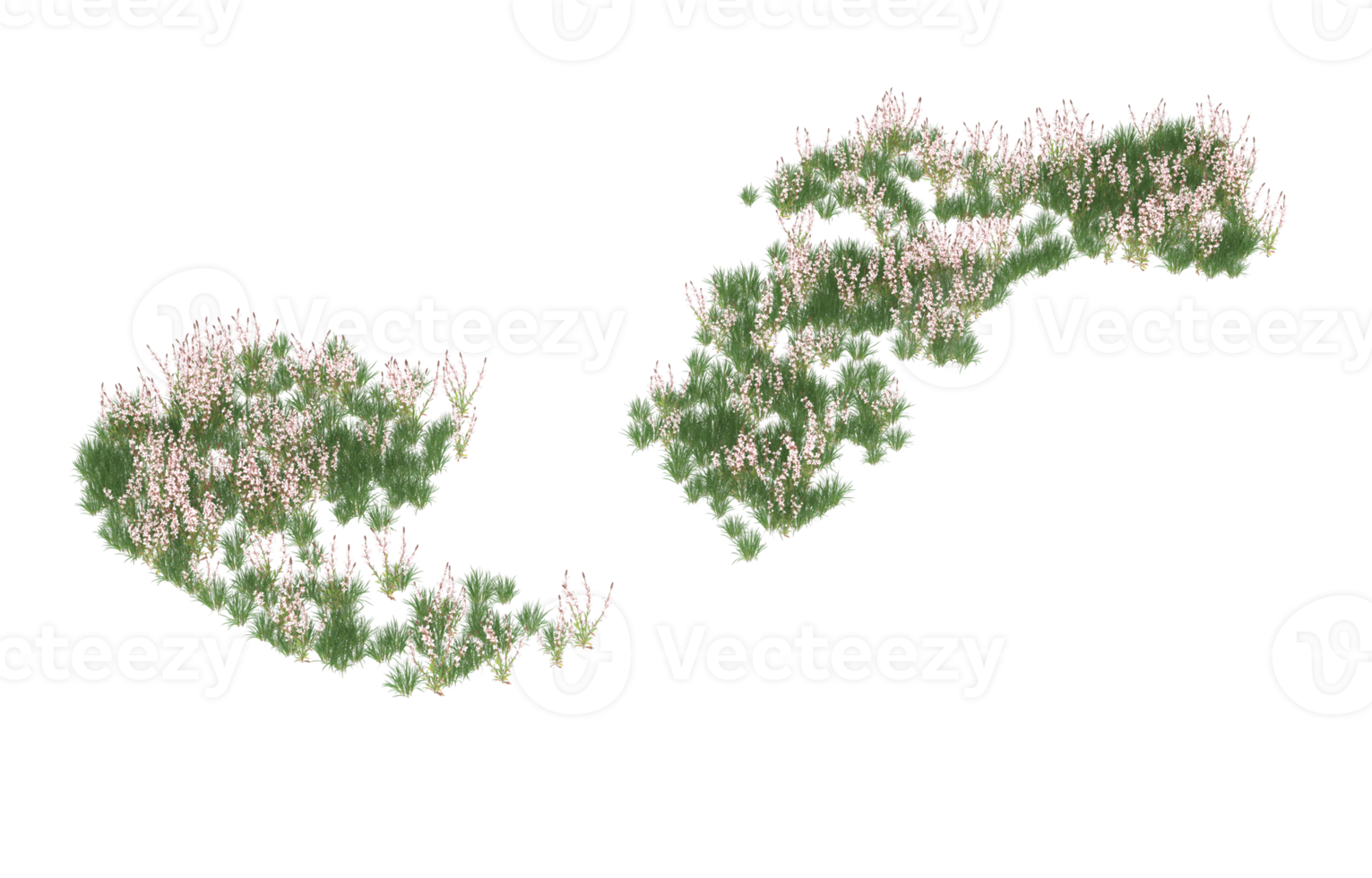 Realistic foliage isolated on transparent background. 3d rendering - illustration png