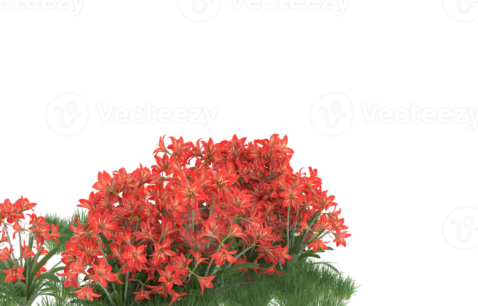 Realistic foliage isolated on transparent background. 3d rendering - illustration png