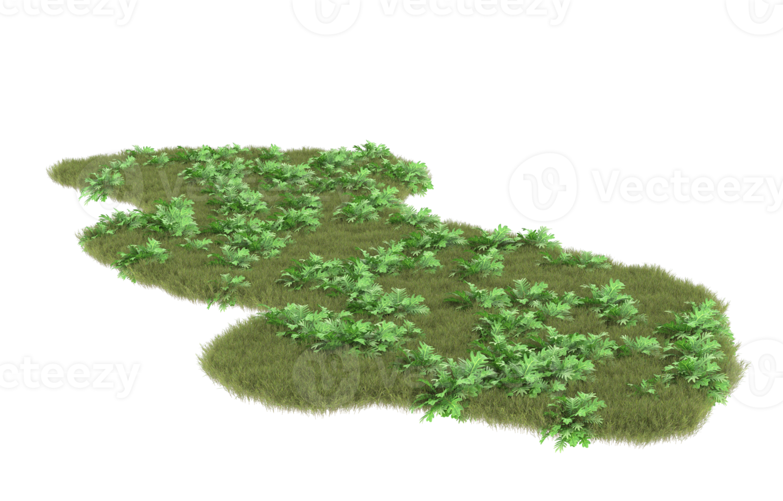 Realistic foliage isolated on transparent background. 3d rendering - illustration png