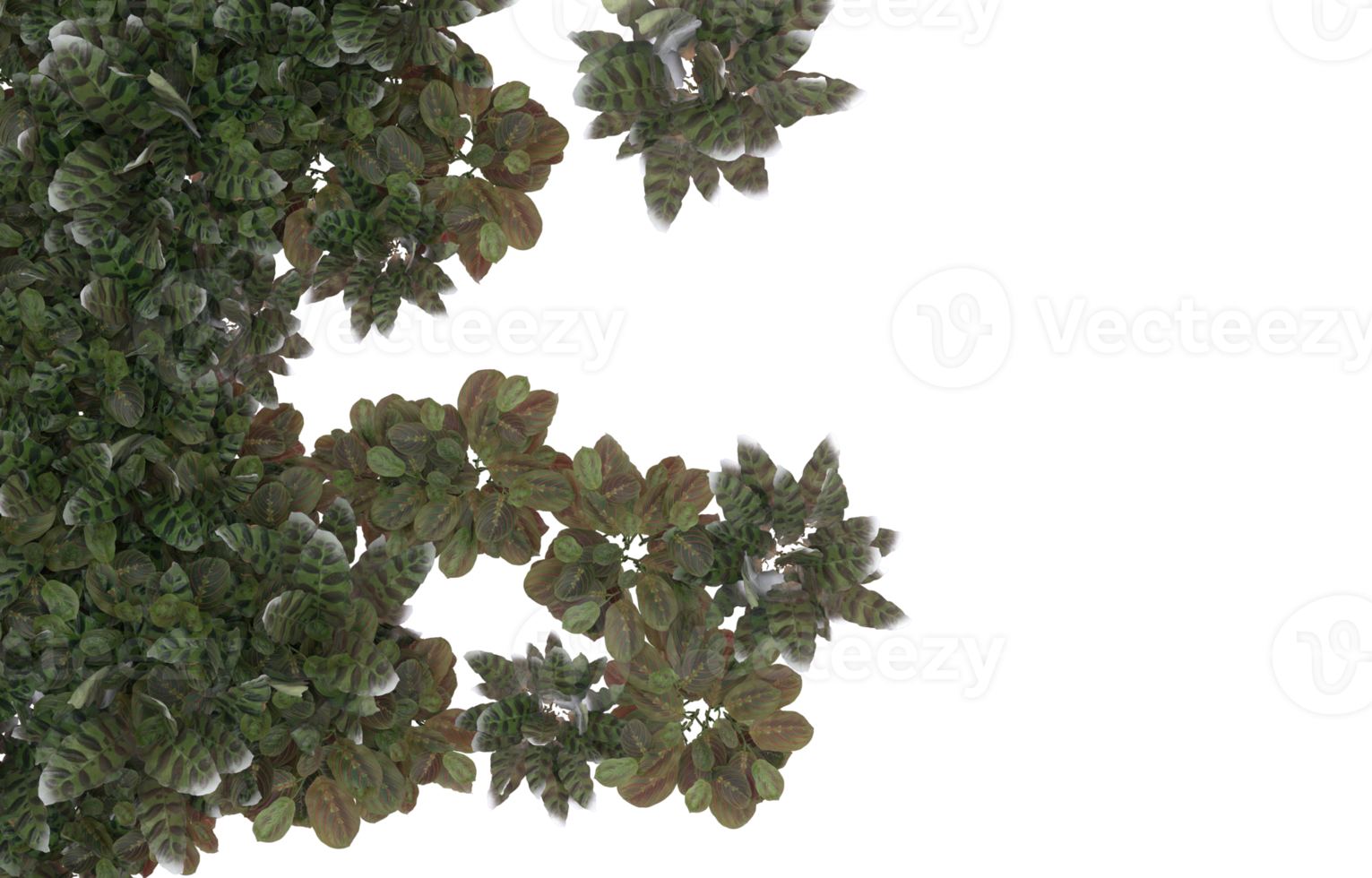 Realistic foliage isolated on transparent background. 3d rendering - illustration png
