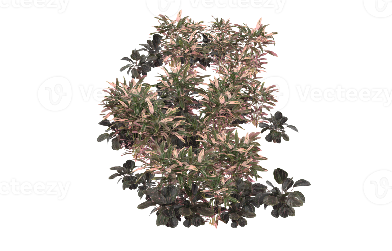 Realistic foliage isolated on transparent background. 3d rendering - illustration png